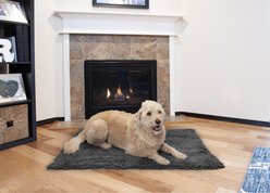 FurHaven Muddy Paws Towel & Shammy Dog Mat, Gray, X-Large