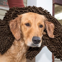 FurHaven Muddy Paws Towel & Shammy Dog Mat, Mud, Small