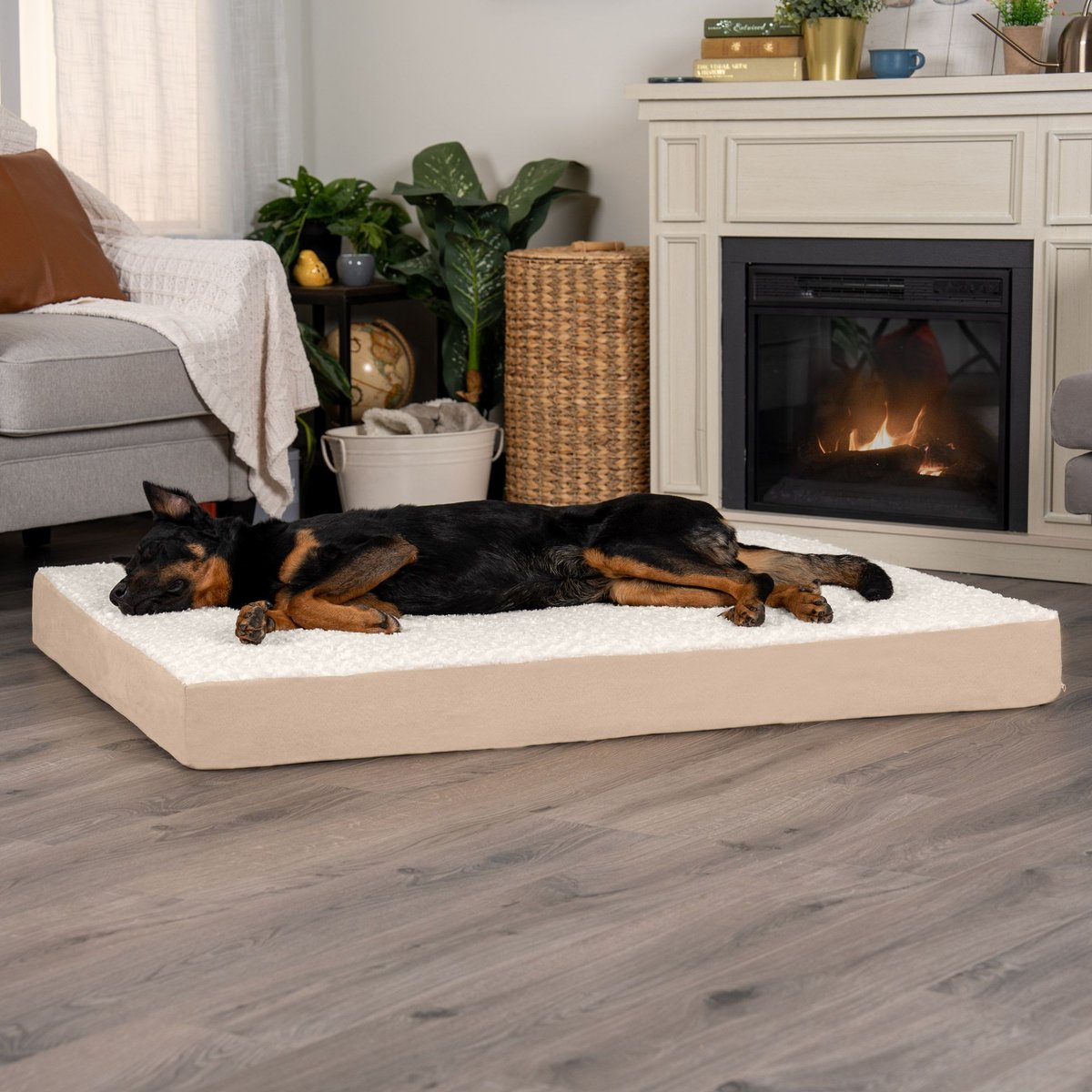 Elevated Foam Pillow Dog Bed preview