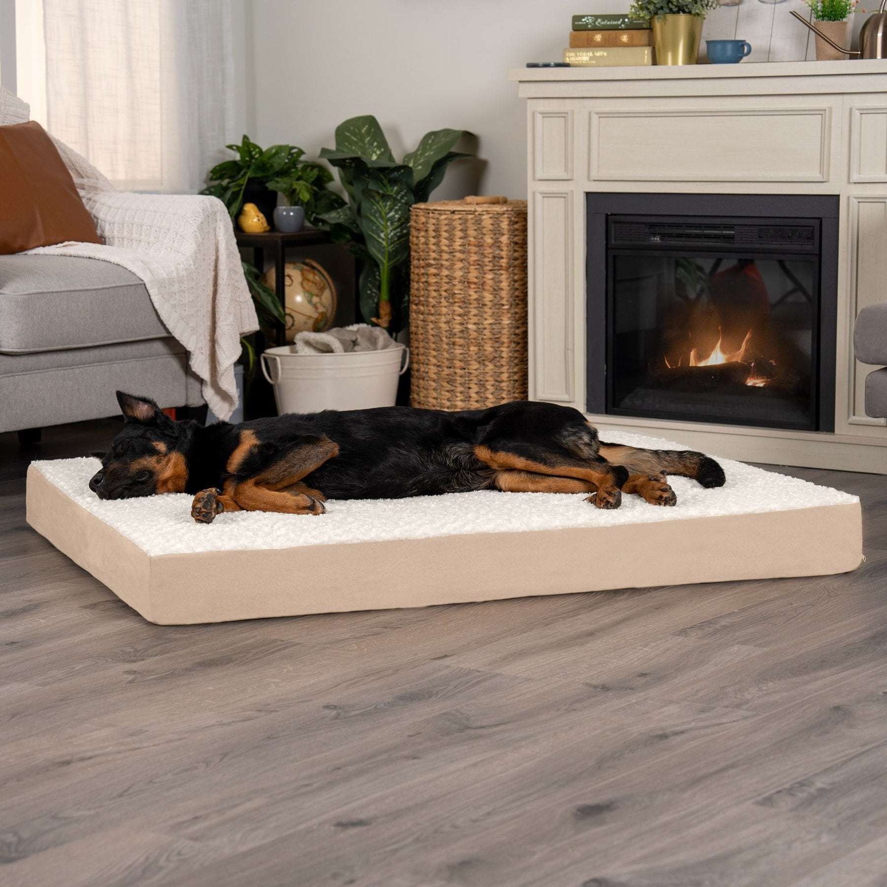 FurHaven NAP Deluxe Memory Foam Pillow Dog Bed with Removable Cover, Cream, Jumbo Plus