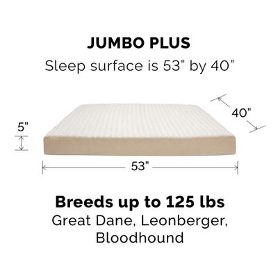 Show full view: FurHaven NAP Deluxe Memory Foam Pillow Dog Bed with Removable Cover, Cream, Jumbo Plus slide 2 of 11