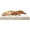 Show in main carousel: FurHaven NAP Deluxe Memory Foam Pillow Dog Bed with Removable Cover, Cream, Jumbo Plus slide 3 of 11