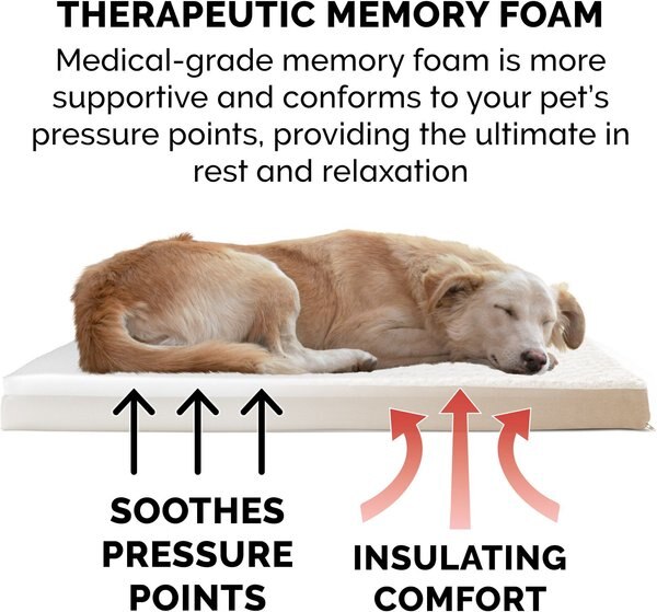 FURHAVEN NAP Deluxe Memory Foam Pillow Dog Bed with Removable Cover ... - Elevated Foam Pillow Dog Bed