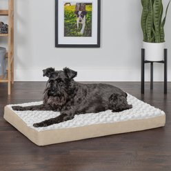 FurHaven NAP Deluxe Memory Foam Pillow Dog Bed with Removable Cover, Cream, Medium