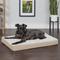 Show in main carousel: FurHaven NAP Deluxe Memory Foam Pillow Dog Bed with Removable Cover, Cream, Medium slide 1 of 11