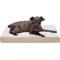 Show in main carousel: FurHaven NAP Deluxe Memory Foam Pillow Dog Bed with Removable Cover, Cream, Medium slide 3 of 11