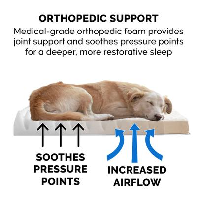 Show full view: FurHaven NAP Ultra Plush Orthopedic Deluxe Cat & Dog Bed with Removable Cover, Cream, Jumbo slide 6 of 12