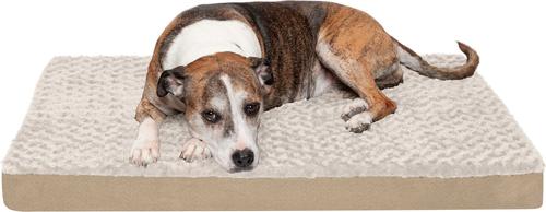 Show full view: FurHaven NAP Ultra Plush Orthopedic Deluxe Cat & Dog Bed with Removable Cover, Cream, Large slide 5 of 13