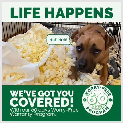 Show full view: FurHaven NAP Ultra Plush Orthopedic Deluxe Cat & Dog Bed with Removable Cover, Cream, Large slide 10 of 13