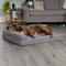 Show in main carousel: FurHaven Paw-Quilted Memory Top Deluxe Chaise Cat & Dog Bed with Removable Cover, Titanium, Jumbo slide 1 of 10