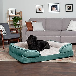 FurHaven Perfect Comfort Velvet Waves Full Support Sofa Dog & Cat Bed, Celadon Green, Jumbo Plus