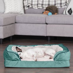 FurHaven Perfect Comfort Velvet Waves Full Support Sofa Dog & Cat Bed, Celadon Green, Medium