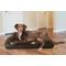 Show in main carousel: FurHaven Plush Deluxe Chaise Cooling Gel Cat & Dog Bed with Removable Cover, Sable Brown, Large slide 1 of 10
