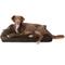 Show in main carousel: FurHaven Plush Deluxe Chaise Cooling Gel Cat & Dog Bed with Removable Cover, Sable Brown, Large slide 4 of 10