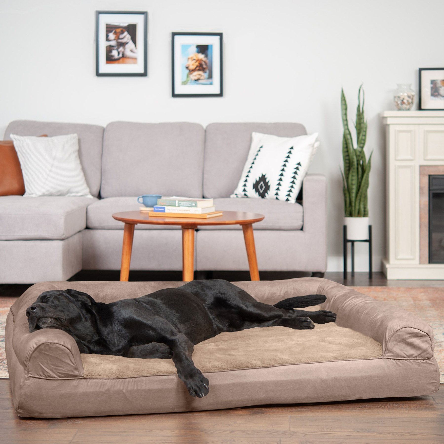 FurHaven Plush & Suede Full Support Sofa Dog & Cat Bed, Almondine, Jumbo Plus