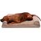 Show in main carousel: FurHaven Plush & Suede Full Support Sofa Dog & Cat Bed, Almondine, Large slide 4 of 9