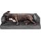 Show in main carousel: FurHaven Plush & Velvet Orthopedic Comfy Couch Dog & Cat Bed, Dark Gray, Large slide 5 of 10