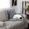 Show in main carousel: FurHaven Polyester Long Fur & Velvet Dog Blanket, Gray, Medium slide 1 of 10
