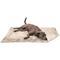 Show in main carousel: FurHaven Polyester Long Fur & Velvet Dog Blanket, Taupe, Large  slide 2 of 10