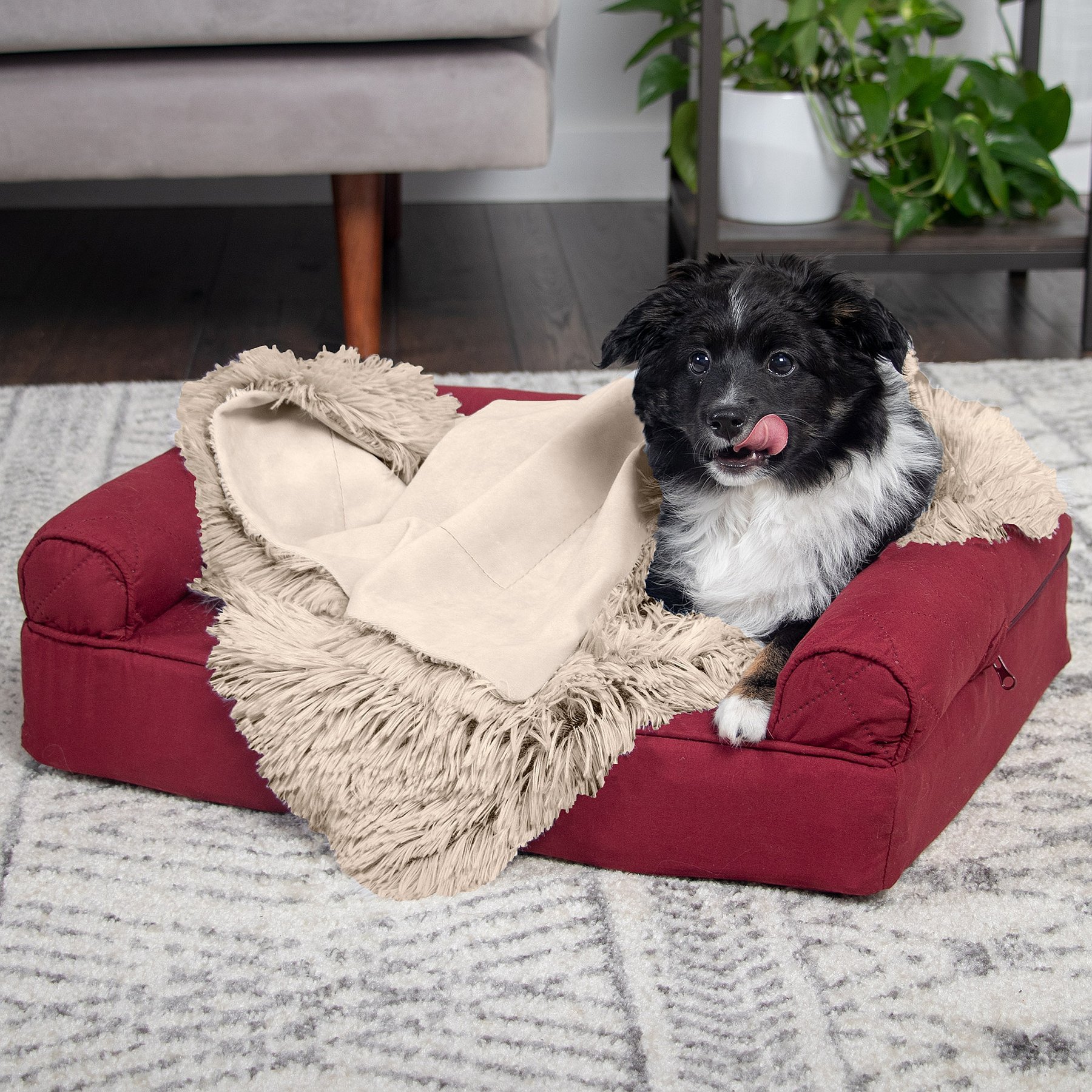 Dog Blanket Chew Resistant Dog Bed Amazon Dog Blanket