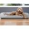 Show in main carousel: FurHaven Quilted Cooling Gel Bolster Cat & Dog Bed with Removable Cover, Silver Gray, Large slide 1 of 10
