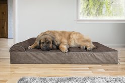 FurHaven Quilted Goliath Chaise Bolster Dog Bed with Removable Cover, Espresso, 4X-Large