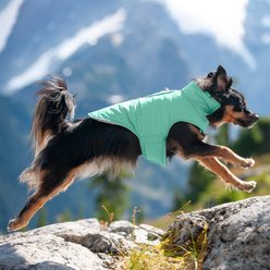 FurHaven Reversible Reflective Puffer Dog Coat, Mint, Small