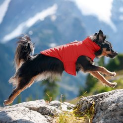 FurHaven Reversible Reflective Puffer Dog Coat, Red, Small