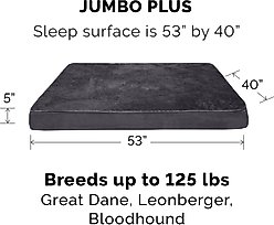 FurHaven Snuggle Deluxe Orthopedic Pillow Cat & Dog Bed with Removable Cover, Gray, Jumbo Plus slide 2 of 9