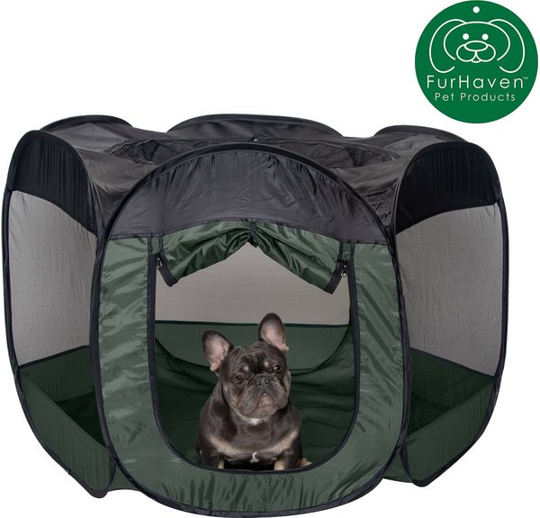 Show full view: FurHaven Soft-Sided Dog & Cat Playpen, Hunter Green, Large slide 4 of 9