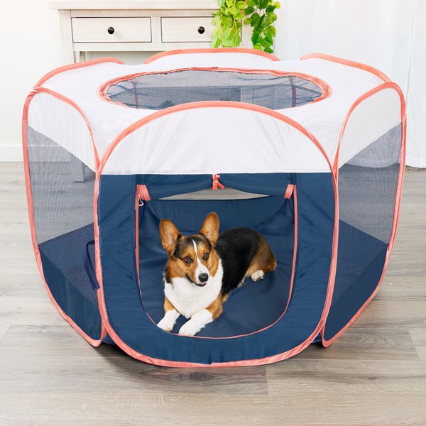 Dog Crate Chewy Puppy Playpen FURHAVEN Soft-Sided Dog Cat Playpen