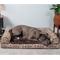 Show in main carousel: FurHaven Southwest Kilim Cat & Dog Bed, Desert Brown, Large, Orthopedic Foam slide 1 of 11