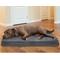 Show in main carousel: FurHaven Terry Deluxe Cooling Gel Pillow Cat & Dog Bed with Removable Cover, Gray, Large slide 1 of 10
