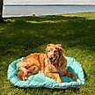 Show in main carousel: FurHaven Trail Pup Packable Stuff Sack Travel Pillow Dog Bed, Aqua & Granite Gray, Large slide 1 of 11