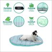 Show in main carousel: FurHaven Trail Pup Packable Stuff Sack Travel Pillow Dog Bed, Aqua & Granite Gray, Large slide 3 of 11