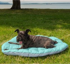 FurHaven Trail Pup Packable Stuff Sack Travel Pillow Dog Bed, Aqua & Granite Gray, Small