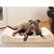 Show in main carousel: FurHaven Ultra Plush Luxe Lounger Cooling Gel Dog Bed with Removable Cover, Cream, Large slide 1 of 10