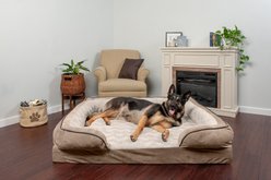 FurHaven Velvet Waves Perfect Comfort Memory Foam Bolster Cat & Dog Bed with Removable Cover, Brownstone, Jumbo Plus