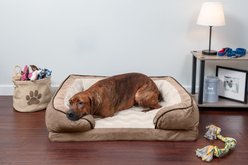 FurHaven Velvet Waves Perfect Comfort Memory Foam Bolster Cat & Dog Bed with Removable Cover, Brownstone, Large