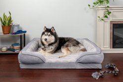 FurHaven Velvet Waves Perfect Comfort Memory Foam Bolster Cat & Dog Bed with Removable Cover, Granite Gray, Jumbo