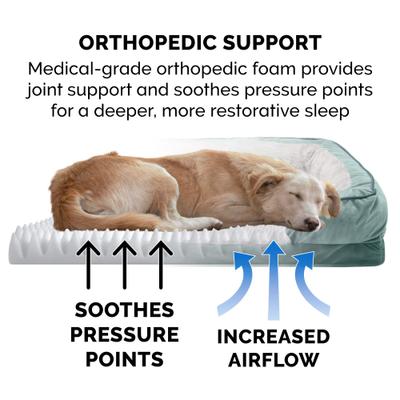 Show full view: FurHaven Velvet Waves Perfect Comfort Orthopedic Sofa Cat & Dog Bed with Removable Cover, Celadon Green, Large slide 7 of 10