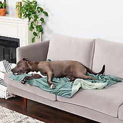 FurHaven Waterproof Velvet Dog & Cat Throw Blanket, Celadon Green, Large