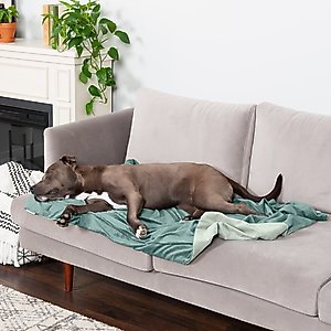 Pendleton National Park Dog Throw Blanket, 30x40-in