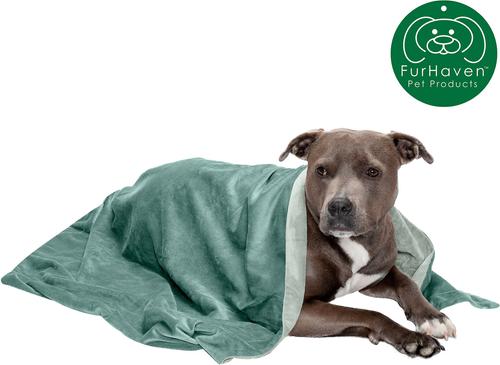 Show full view: FurHaven Waterproof Velvet Dog & Cat Throw Blanket, Celadon Green, Large slide 5 of 11