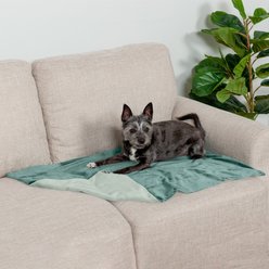 FurHaven Waterproof Velvet Dog & Cat Throw Blanket, Celadon Green, Small slide 1 of 9