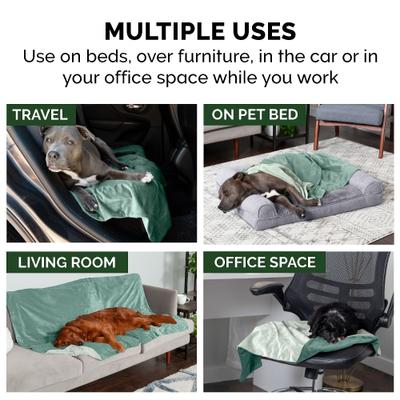 Show full view: FurHaven Waterproof Velvet Dog & Cat Throw Blanket, Celadon Green, X-Large slide 9 of 11