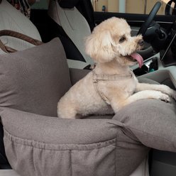 FurMe Pet Car Seat & Travel Bolster Dog & Cat Bed with Removable Cover, Brown