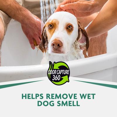 Show full view: FURminator DeShedding Dog Shampoo, 16-fl oz bottle slide 8 of 11