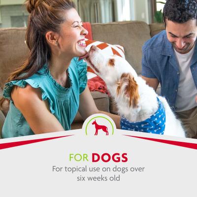 Show full view: FURminator DeShedding Waterless Spray for Dogs, 8.5-fl oz bottle slide 8 of 10