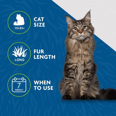 Show full view: FURminator Long Hair Cat Deshedding Tool, Purple, Medium slide 6 of 10